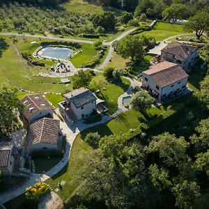 Sasseta Alta , Scansano Italie